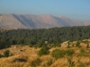 Tannourine National Park looking to Hadath-a -Jibbih