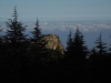 Cedar forest above Niha