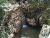 water-hole-spring-1